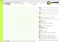 Initial Briefing Form - Laundry
